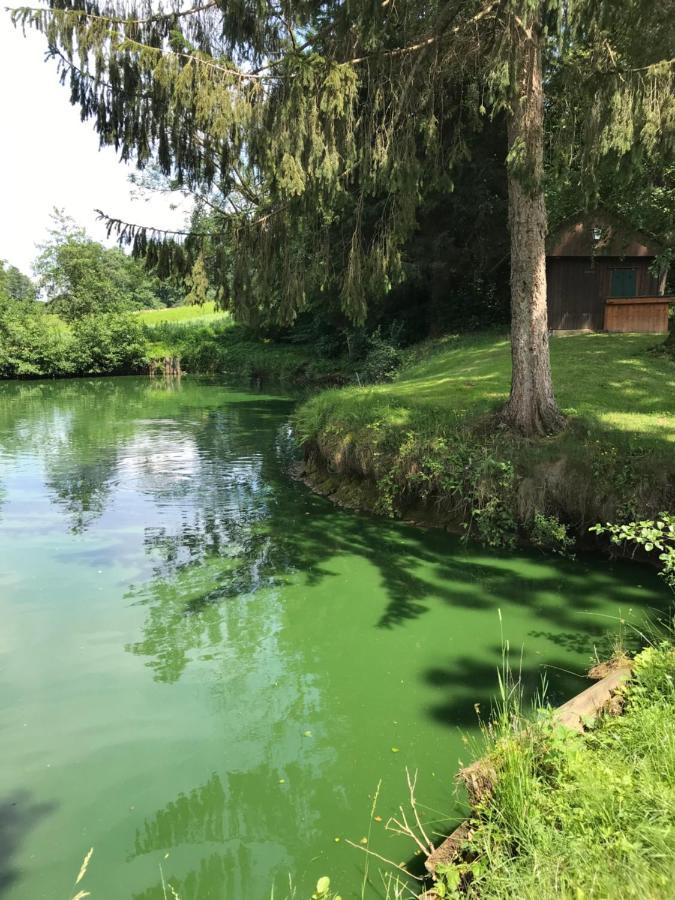 Hotel Restaurant Hesch Gabersdorf Екстер'єр фото
